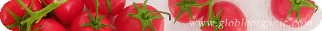 全球有機(jī)網(wǎng)，有機(jī)食品，有機(jī)信息