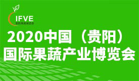 2020中國（貴陽）國際...